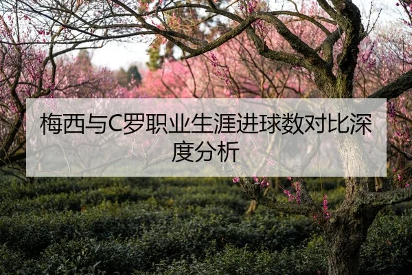 梅西与C罗职业生涯进球数对比深度分析